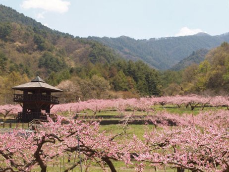 4月10日はインテリアを考える日